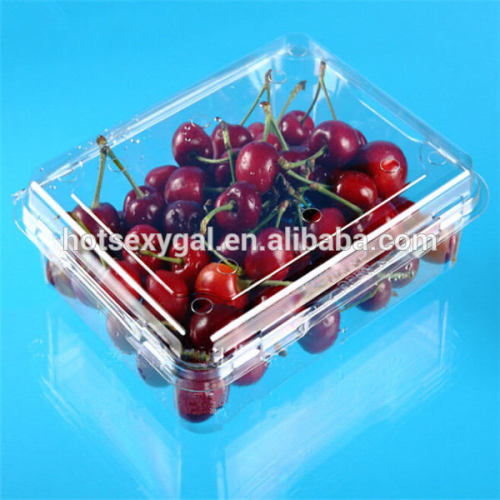 3 compartment book and bowls clamshell box