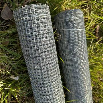 Gorąco zanurzone ocynkowane 12 mm spawana siatka z drutu dla zwierząt - BWG 19
