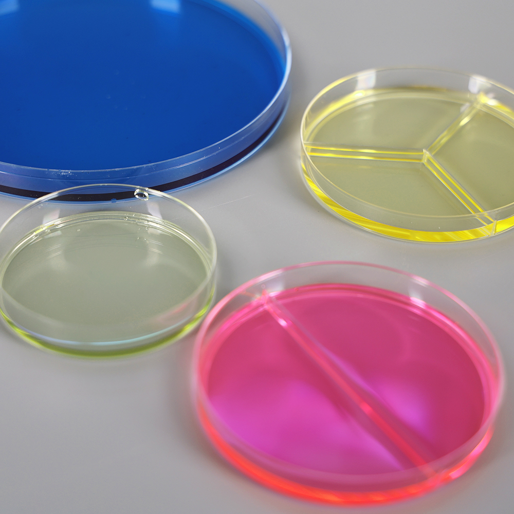 round petri dish