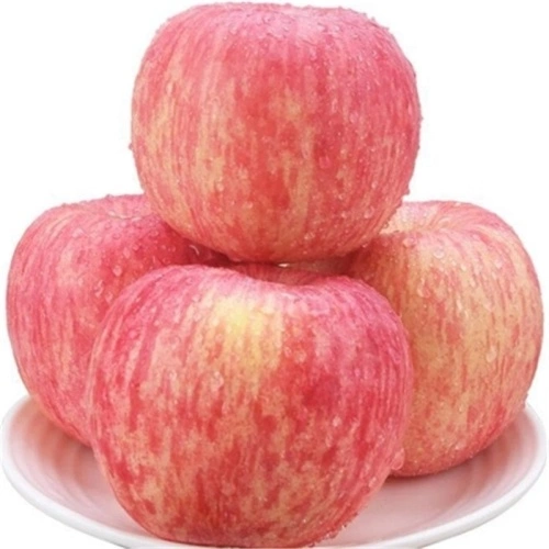 Fresh Chinese Red Paper Bagged FUJI Apples - China Fresh Apple, Apples