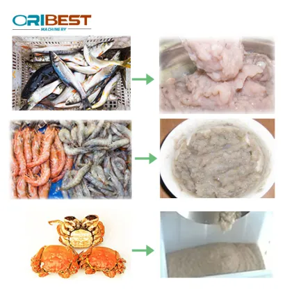 Affordable Fish Processing Machines: Fish Meat and Bone Separator