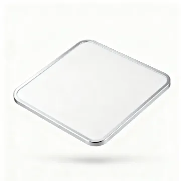 LED Ceiling Light for Hallway