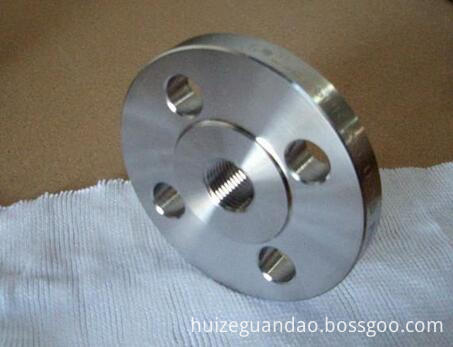 Ss Threaded Flange 02