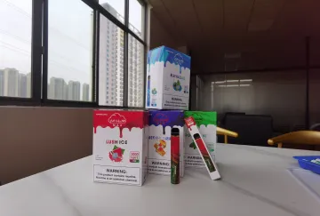 6ml Vape Disposables Vaporizer Pen 3000 Puffs