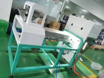 Juniper Fruit Color Sorting Machine for Brown and Green Juniper Processing Line