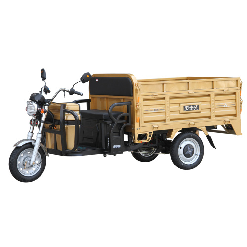 lead acid or lithium battery electric trike