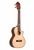 Ukulele guitars( MBY-T20C)