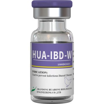 Vaccin împotriva bolii infecțioase de bursă, viu (tulpina W2512G-61)