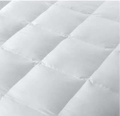 Goose Feather And Down Comforter