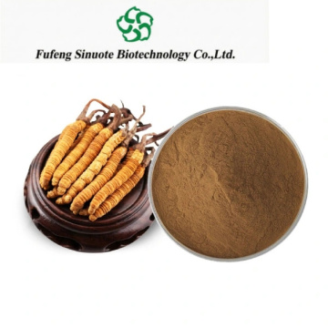 Cordyceps Sinensis Extract High Polysaccharides Adenosine