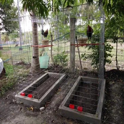 Foldable Chicken Pen Cage for Rooster Flying Pen