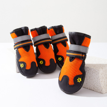 Luxury English Color Contrast Dog Sports Shoes - Fashionable and Functional Pet Footwear for Medium to Large Dogs