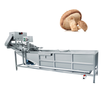 304 Stainless Steel Ultrasonic Mushroom Washing Machine