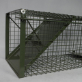 Whit Bird Cage Animal Live Trap a birdcagetrap