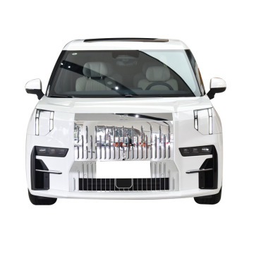 Zeekr 009: Chinesische Luxus-EV-MPV 2022-2024