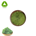 Natural Organic Freeze Dried Green Kale Extract Powder