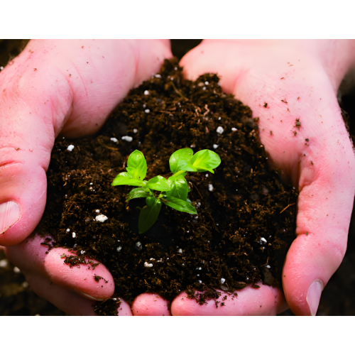 Eco-Friendly Soil Conditioner for Improved Fertility