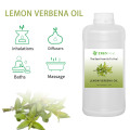 Price no atacado Lemon verbena Óleo essencial orgânico para cuidados de saúde