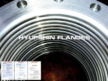 Lap Joint ANSI B16.5 CL300 A105 Forging Flanges