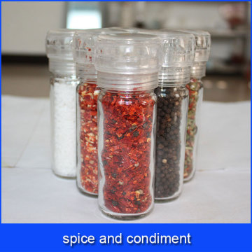 spice and condiment