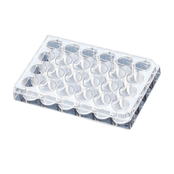 24-well Cell Culture Plate