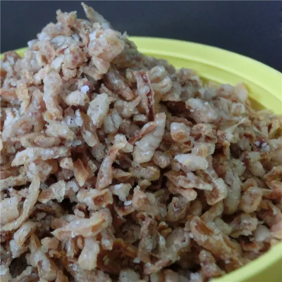 in daily life crunchy fry onions