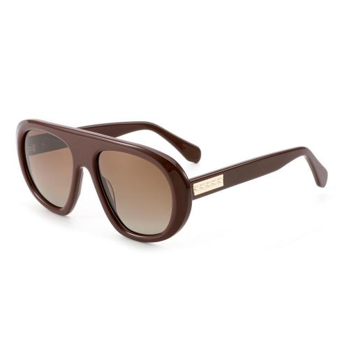 Fashion Acetate Oversized Navigator Collection Sunglasses Wholesale