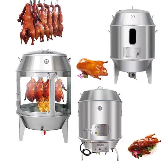 Stainless Steel BBQ Grill with Charcoal Burner and Duck Roasting Oven