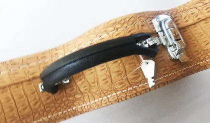 Malubly Hard Shell Cases for Electric Guitars and Basses