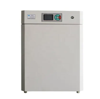 Electric Thermostatic Laboratory Incubator