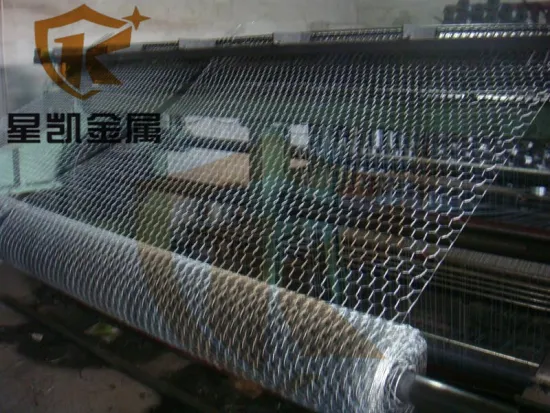 chicken coop hexagonal wire mesh/hexagonal wire netting