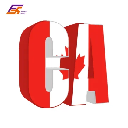 Worldwide DDU DDP Air Shipping Service to Canada