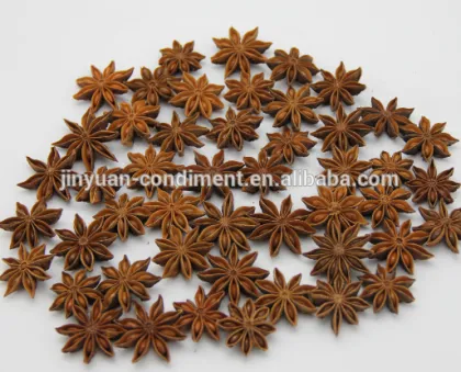 Star Anise Powder
