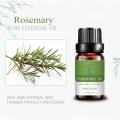Venta caliente de 10 ml Pure Natural Plant Rosemary Oil esencial