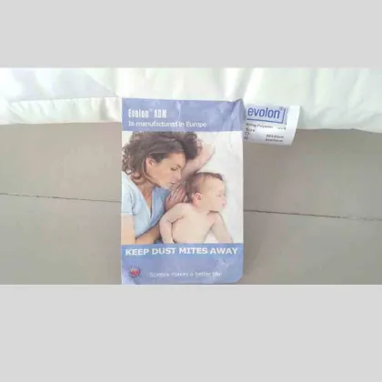 Germany Evolon Anti-Mite pillow