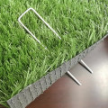 /msite/products/detail/productid/62579863/id/1508067.html