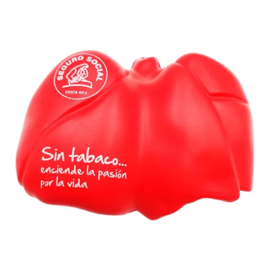 Customizable Medical-grade Foam Lung Toy for Stress Relief and Educational Use