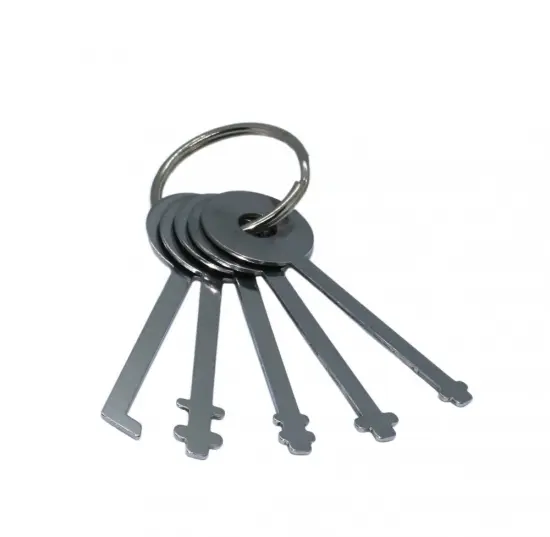 5pcs Practice Stainless Steel Wanded Lock Plcto Set