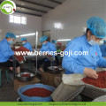 Factory Supply Super Food Dried Red Goji Berry