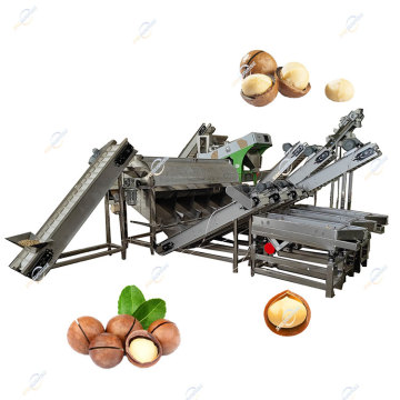Attrezzatura automatica di elaborazione di macadamia e anacardi: apertura, peeling, bombardamento e cracking