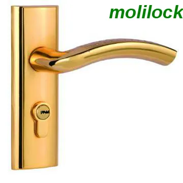 Door Locks with Changeable Handles, Mortise Lock, Hotel Lock
