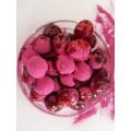 Cranberry fruit powder extract