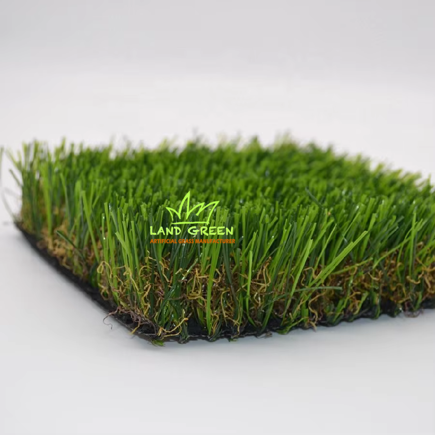 HTB10m9XQQPoK1RjSZKbq6x1IXXau