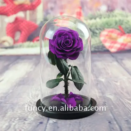 Last 5 Years Glass Cover Preserved Red Rose 'The Little Prince'