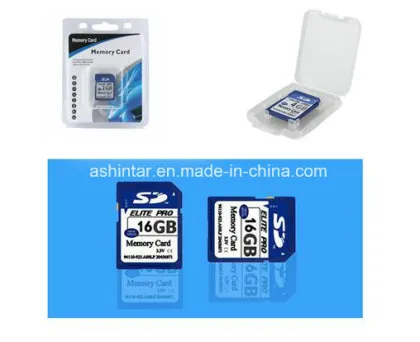 SD Card/ Memory SD Card/ Flash Memory Card/Sdxc 32GB