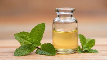 Olio essenziale di menta piperita puro al 100% per capelli, pelle e diffusore Olio di menta non diluito, distillato a vapore per aromaterapia, cura del cuoio capelluto