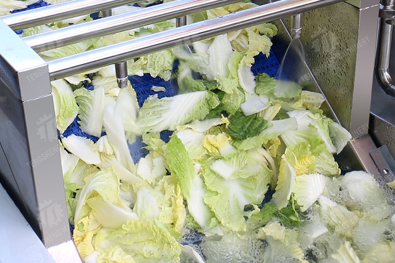 commercial salad washer