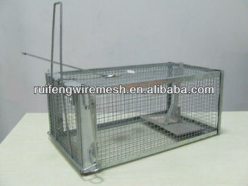 Cheap spot welded galvanized metal rat cage