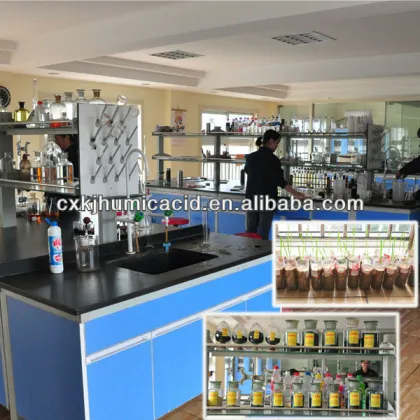 Water Soluble Drip Irrigation Fertilizer