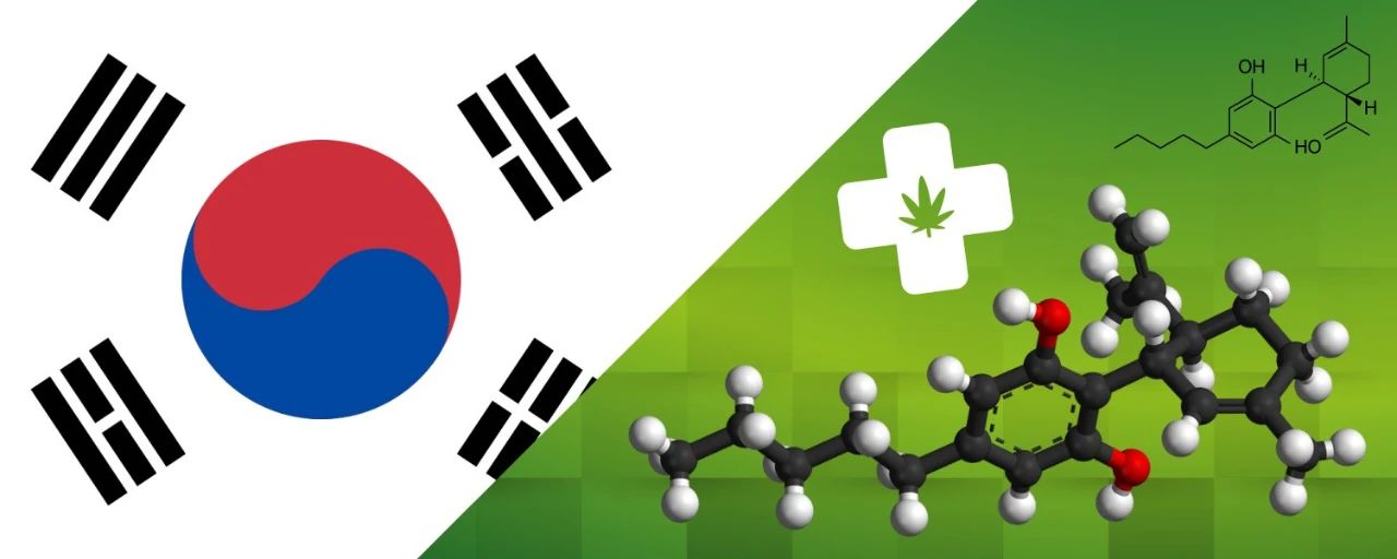 Korea cannabis